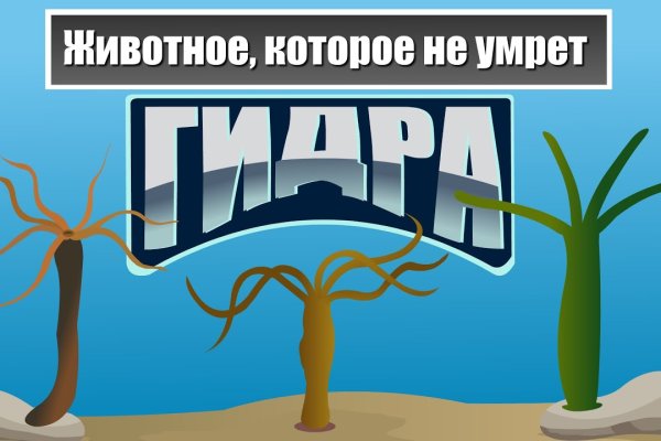 Кракен тор зеркало