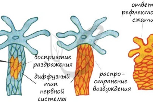 Кракен даркнет войти